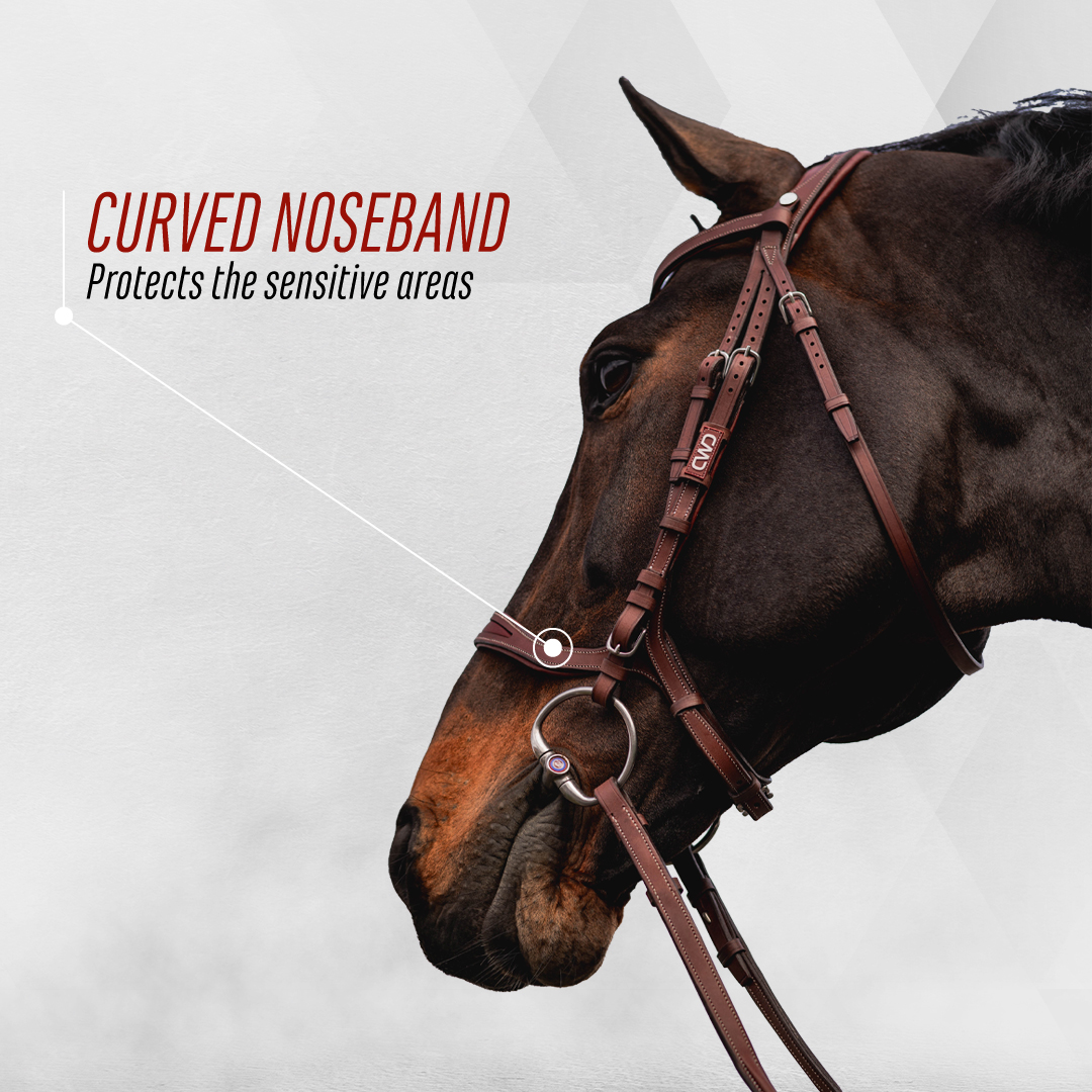 Curved noseband