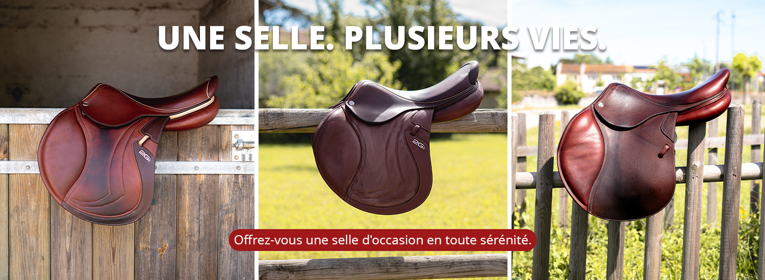 Une selle. Plusieurs vies.